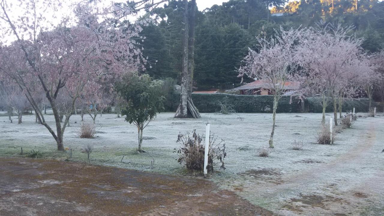 Recanto Da Natureza, Chale ゴンサウヴェス エクステリア 写真