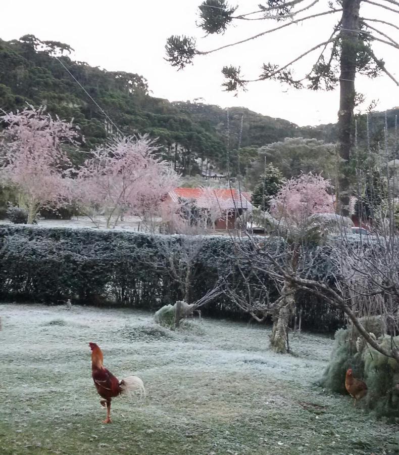 Recanto Da Natureza, Chale ゴンサウヴェス エクステリア 写真