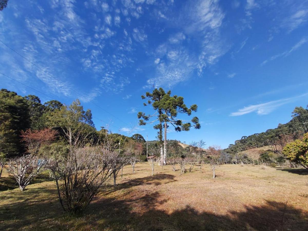 Recanto Da Natureza, Chale ゴンサウヴェス エクステリア 写真